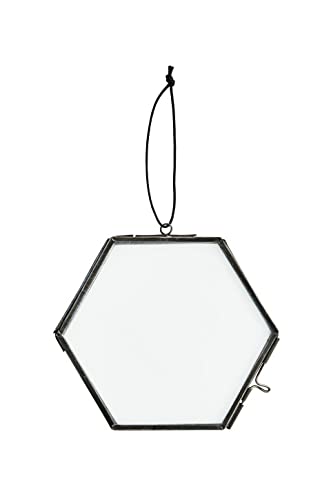 NaDeco Glasrahmen für Trockenblumen und Bilder in verschieden Größen wählbar Botanischer Rahmen Pflanzenrahmen Herbarium-Bilderrahmen Floating-Frame Für gepresste Blumen, Größe:h. 12 x 13.5 cm von NaDeco