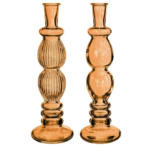 NaDeco Glasvase Bunt 'Florence' 2er Set - Farben und Größen wählbar | Kerzenvase | Bunte Glasvasen | Deko Vasen | Ausgefallene Deko Vasen | Farbige Glasvasen, Farbe:Orange, Größe:h.28 Ø9 NaDeco Glasvase Bunt 'Florence' 2er Set - Farben und Größen wählbar | Kerzenvase | Bunte Glasvasen | Deko Vasen | Ausgefallene Deko Vasen | Farbige Glasvasen, Farbe:Orange, Größe:h.28 Ø9 von NaDeco