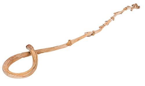 NaDeco Hirtenstab in Natur, Größe ca. 40cm | Bananenstiel | Banana Stick | Deko-Zweig | Deko-AST | Vasen-Deko | Naturdeko für Vasen | Boho-Deko | Deko im Boho-Style | Naturdeko von NaDeco
