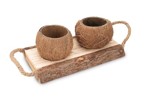 NaDeco Holzschale mit Kokosnuss-Bechern in Zwei Größen zur Auswahl | Dekoschale mit echten Kokosnüssen | Kokosbecher | Deko Kokosnuss | Deko-Schale | Beach-Club-Deko, Größe:32 cm mit 2 Bechern von NaDeco