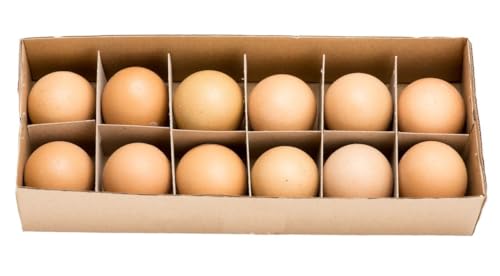 NaDeco Hühnereier ausgeblasen Braun 12 Stück | Hühnerei | Dekoeier | Echte Hühnereier | Ausgeblasene Eier | Ostereier | Osterdeko | Osterdekoration NaDeco Hühnereier ausgeblasen Braun 12 Stück | Hühnerei | Dekoeier | Echte Hühnereier | Ausgeblasene Eier | Ostereier | Osterdeko | Osterdekoration von NaDeco