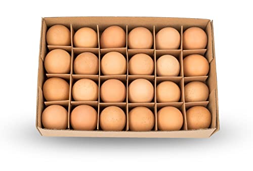NaDeco Hühnereier ausgeblasen in Braun, Lieferung in Einer Packung von 24 Stück | Hühnerei braun | Braune Dekoeier | Echte Hühnereier | Ausgeblasene Eier | Ostereier | Osterdeko | Osterdekoration von NaDeco