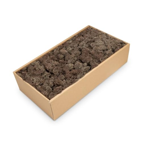 NaDeco Islandmoos Braun, konserviert, verpackt im Karton mit ca. 500g | Moos zum Basteln und Dekoration | Moosbild selber Machen | Rentier Moos | Rendier Moos | Deko Moos | Bastel Moos | Dekomoos NaDeco Islandmoos Braun, konserviert, verpackt im Karton mit ca. 500g | Moos zum Basteln und Dekoration | Moosbild selber Machen | Rentier Moos | Rendier Moos | Deko Moos | Bastel Moos | Dekomoos von NaDeco