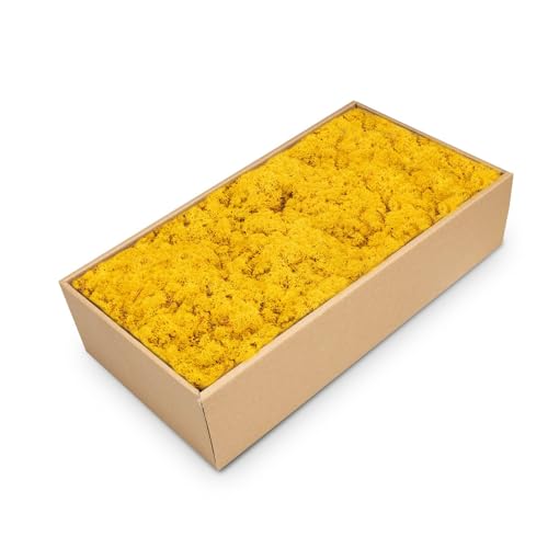 NaDeco Islandmoos Gelb, konserviert, verpackt im Karton mit ca. 500g | Moos zum Basteln und Dekoration | Moosbild selber Machen | Rentier Moos | Rendier Moos | Deko Moos | Bastel Moos | Dekomoos von NaDeco