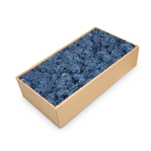 NaDeco Islandmoos Blau, konserviert, verpackt im Karton mit ca. 500g | Moos zum Basteln und Dekoration | Moosbild selber Machen | Rentier Moos | Rendier Moos | Deko Moos | Bastel Moos | Dekomoos von NaDeco