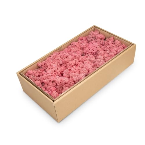 NaDeco Islandmoos in Natur und 30 weiteren Farben zur Auswahl | Deko-Moos | Rentier-Moos | Reendier Moos | Bastel-Moos | Dekomoos | Moos-Deko, Farbe:Fuchsia von NaDeco