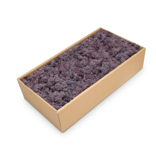 NaDeco Islandmoos in Natur und 30 weiteren Farben zur Auswahl | Deko-Moos | Rentier-Moos | Reendier Moos | Bastel-Moos | Dekomoos | Moos-Deko, Farbe:Lila NaDeco Islandmoos in Natur und 30 weiteren Farben zur Auswahl | Deko-Moos | Rentier-Moos | Reendier Moos | Bastel-Moos | Dekomoos | Moos-Deko, Farbe:Lila von NaDeco