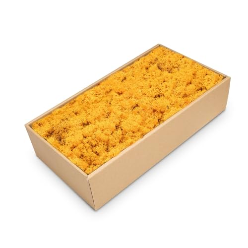 NaDeco Islandmoos Orange, konserviert, verpackt im Karton mit ca. 500g | Moos zum Basteln und Dekoration | Moosbild selber Machen | Rentier Moos | Rendier Moos | Deko Moos | Bastel Moos | Dekomoos von NaDeco
