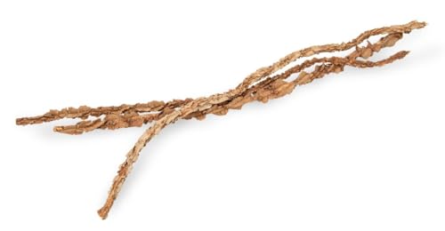NaDeco Korkeichen Zweige 100cm 3 Stück | Korkeiche | Korkeichenstamm | Korkzweige | Kork Äste | Dekozweige | Dekobündel | Naturzweige | Korkrinde | Sitzstange | Terrarium Dekoration | Vollieren Deko NaDeco Korkeichen Zweige 100cm 3 Stück | Korkeiche | Korkeichenstamm | Korkzweige | Kork Äste | Dekozweige | Dekobündel | Naturzweige | Korkrinde | Sitzstange | Terrarium Dekoration | Vollieren Deko von NaDeco