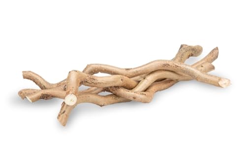 NaDeco Korkenzieher-Zweig, 5 Stück, Länge 20-30cm | Deko AST | Korkenzieherhasel | Haselzweige | Dekoholz | Sitzstange für Wellensittiche | Terrarium Deko | Schredderzweige für Vogel | Knabberzweige NaDeco Korkenzieher-Zweig, 5 Stück, Länge 20-30cm | Deko AST | Korkenzieherhasel | Haselzweige | Dekoholz | Sitzstange für Wellensittiche | Terrarium Deko | Schredderzweige für Vogel | Knabberzweige von NaDeco