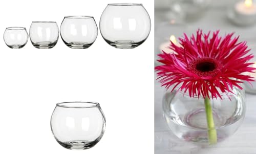 NaDeco Kugelglas im Durchmesser 6, 8, 10 und 12cm wählbar | Kugelvase klein bis groß | Glaskugelvase | Kerzenglas | Glasgefäß rund | Windlicht Glas | Teelichtglas | Dekoglas, Größe:Ø6.7 h.5.3cm NaDeco Kugelglas im Durchmesser 6, 8, 10 und 12cm wählbar | Kugelvase klein bis groß | Glaskugelvase | Kerzenglas | Glasgefäß rund | Windlicht Glas | Teelichtglas | Dekoglas, Größe:Ø6.7 h.5.3cm von NaDeco