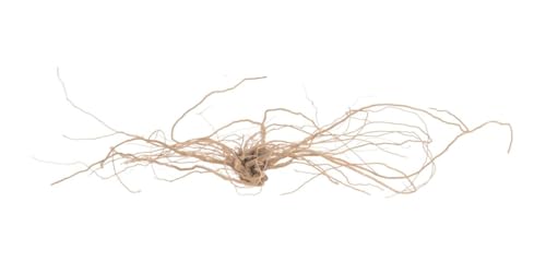 NaDeco Mantai Wurzel in Natur, 1 Stück, Länge 20-25cm, Höhe 6-10cm | Filigrane Dekowurzel | Deko Zweige Natur | Dekoäste | Dekozweige | Deko Äste | Deko Holz | Deko Hölzer | kleine knorrige Zweige NaDeco Mantai Wurzel in Natur, 1 Stück, Länge 20-25cm, Höhe 6-10cm | Filigrane Dekowurzel | Deko Zweige Natur | Dekoäste | Dekozweige | Deko Äste | Deko Holz | Deko Hölzer | kleine knorrige Zweige von NaDeco