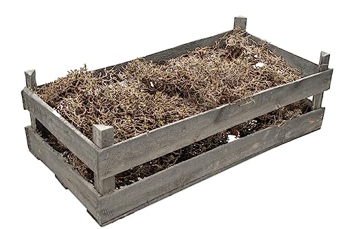 NaDeco Mauskraut Deko Zweige in Natur, verpackt in Einer Holzkiste | Dekoäste | Dekozweige | Deko Äste | Deko Holz | Deko Hölzer | kleine knorrige Zweige | Dry Busch | Dry Bush | Krippen Zubehör von NaDeco