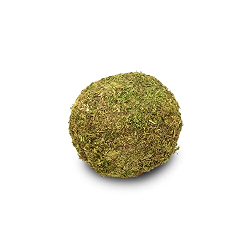 NaDeco Moos-Ball mit Durchmessern von 8, 10, 15, und 20cm zur Auswahl | Moos-Kugel | Moosball | Mooskugel | Deko-Moos | Moos-Deko | Asia-Moos-Ball | Kokedama, Größe:Ø 10 cm von NaDeco
