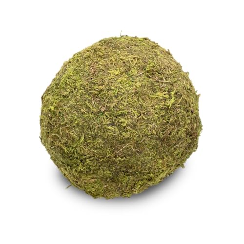NaDeco Moos-Ball mit Durchmessern von 8, 10, 15, und 20cm zur Auswahl | Moos-Kugel | Moosball | Mooskugel | Deko-Moos | Moos-Deko | Asia-Moos-Ball | Kokedama, Größe:Ø 20 cm von NaDeco