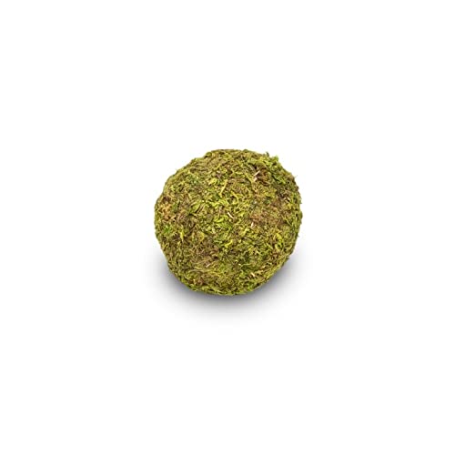NaDeco Moos-Ball mit Durchmessern von 8, 10, 15, und 20cm zur Auswahl | Moos-Kugel | Moosball | Mooskugel | Deko-Moos | Moos-Deko | Asia-Moos-Ball | Kokedama, Größe:Ø 8 cm von NaDeco