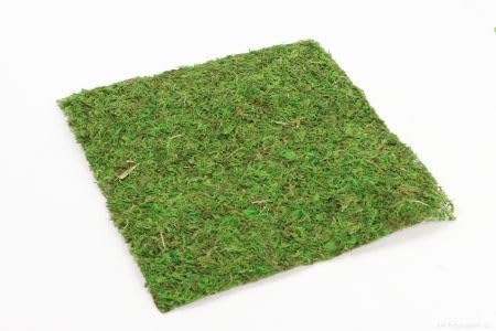 NaDeco Moosplatte ca. 28x28cm Moosmatte Moosbild Moos Ziegel Mooswand Moosfliese Wandbild Flachmoos Asia Moos Waldmoos Moosteppich NaDeco Moosplatte ca. 28x28cm Moosmatte Moosbild Moos Ziegel Mooswand Moosfliese Wandbild Flachmoos Asia Moos Waldmoos Moosteppich von NaDeco