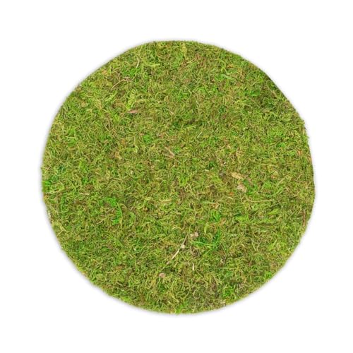 NaDeco Moosplatte rund, mit einem Durchmesser von 25cm | Moosbild | Moosmatte | Moos Ziegel | Mooswand | Moosfliese | Wandbild | Flachmoos | Asia Moos | Waldmoos | Moosteppich NaDeco Moosplatte rund, mit einem Durchmesser von 25cm | Moosbild | Moosmatte | Moos Ziegel | Mooswand | Moosfliese | Wandbild | Flachmoos | Asia Moos | Waldmoos | Moosteppich von NaDeco