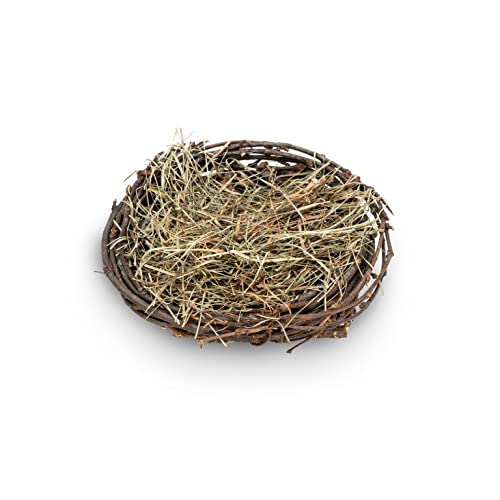 NaDeco Osternest aus Birkenreisig in Natur, mit Durchmessern von 10 und 15 cm erhältlich | Osternest | Deko-Nest | Ostereier Nest | Strohnest | Osterdeko | Osterdekoration, Größe:Ø 10 cm NaDeco Osternest aus Birkenreisig in Natur, mit Durchmessern von 10 und 15 cm erhältlich | Osternest | Deko-Nest | Ostereier Nest | Strohnest | Osterdeko | Osterdekoration, Größe:Ø 10 cm von NaDeco