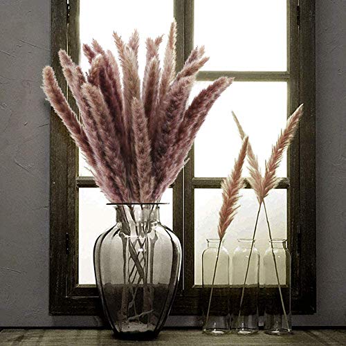 NaDeco Pampasgras Fluffy getrocknet 35/70g, Länge ±80cm in Natur oder Weiß wählbar Pampas Gras Dekozweige Trockenblumen Blumenstrauß aus Pampasgras Deko Zweige, Farbe:Natur 70 Gramm von NaDeco