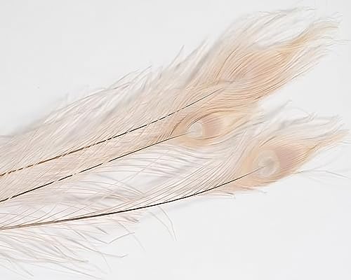 NaDeco Pfauenfeder Gebleicht ca. 90-100cm | Pfauen-Feder in Weiß | Schmuckfeder | Hutfeder | weiße Dekofeder | Feder vom Pfau | Pfauenauge | Pfauenschwert | Maskenfeder | Boho-Deko | Boho-Style NaDeco Pfauenfeder Gebleicht ca. 90-100cm | Pfauen-Feder in Weiß | Schmuckfeder | Hutfeder | weiße Dekofeder | Feder vom Pfau | Pfauenauge | Pfauenschwert | Maskenfeder | Boho-Deko | Boho-Style von NaDeco