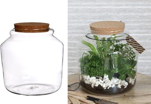 NaDeco Pflanzen-Terrarium aus Glas, mit Korken, in Zwei Größen wählbar | Pflanzenterrarium | Flaschengarten | Glas Terrarium für Pflanzen | Biosphären-Glas | Pflanzenglas, Größe:Ø18 h.18 cm von NaDeco