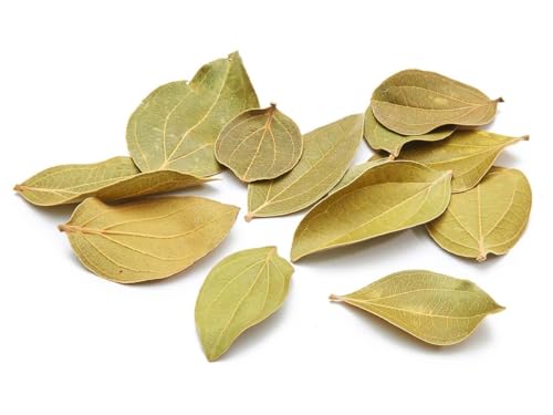 NaDeco Quina Blätter getrocknet im Beutel mit 150g Cinchona Officinalis Cinchona Blätter Getrocknete Blätter vom Chinarindenbaum Deko Blätter Getrocknete Blätter zur Dekoration Terrarium Dekoration von NaDeco