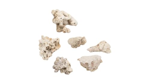 NaDeco Sahara-Steine in Natur, Größe ca. 5-10 cm, Gewicht ca. 450g Natursteine Natursteine zur Terrarium-Dekoration Poren-Steine Rock Hole Stone Dekosteine Terrarium-Deko Naturdeko NaDeco Sahara-Steine in Natur, Größe ca. 5-10 cm, Gewicht ca. 450g Natursteine Natursteine zur Terrarium-Dekoration Poren-Steine Rock Hole Stone Dekosteine Terrarium-Deko Naturdeko von NaDeco