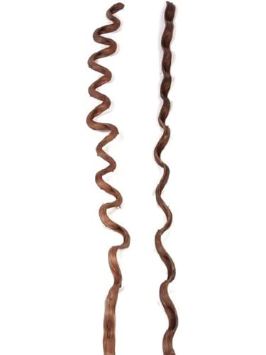 NaDeco Sapla Liane Braun, Länge ca. 160cm, Breite ca. 3-5cm | Deko Liane | Monkey Ladder | Deko Lianen | Deko Wurzel | Luftwurzel | Dekoholz | Holzdeko | Lianendeko | Holz Deko | Dekowurzel von NaDeco