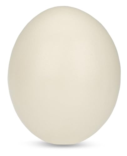 NaDeco Straußenei aus Polystone, Höhe ca. 15 cm, Durchmesser ca.12cm | Straußenei Dekoration | Osterei Polystone | Osterdekoration groß | Künstliches Straußenei | Deko Straußeneier NaDeco Straußenei aus Polystone, Höhe ca. 15 cm, Durchmesser ca.12cm | Straußenei Dekoration | Osterei Polystone | Osterdekoration groß | Künstliches Straußenei | Deko Straußeneier von NaDeco