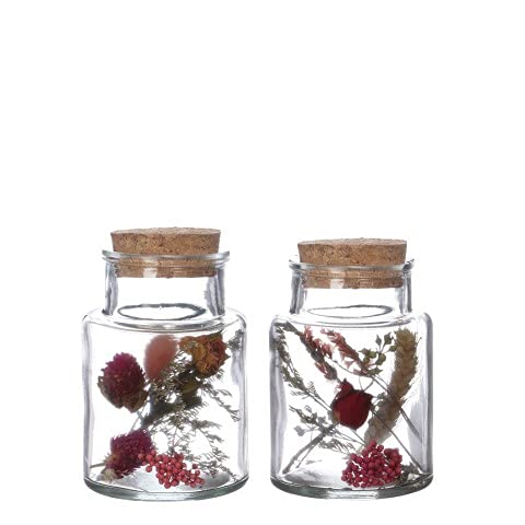 NaDeco Trockenblumen im Glas mit Korken in vielen Größen zur Auswahl Boho-Deko Trockenblumen-Bouquet im Glas Glasflasche mit Trockenblumen Vintage -Trockenblumen im Glas, Größe:h.10 Ø 7 cm von NaDeco