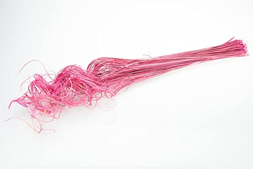 NaDeco Weiden-Spiral-Bündel, Größe ca. 70cm, in 10 Farben zur Auswahl Curly Ting Ting Dekobündel Weidenbündel Naturdeko Dekozweige, Farbe:Pink von NaDeco