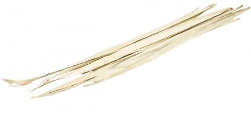 Sun Palmen Blätter Natur ca. 100cm Bund mit 250g Palmenblätter Deko Bündel Vasen Dekoration Deko Blätter von NaDeco