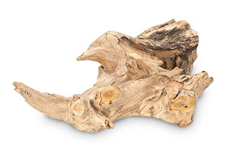 NaDeco Teak-Deko-Wurzel, Maße ca. 40x25x10cm | Deko-Wurzel | Wurzelholz | Dekowurzel | Dekoholz | Naturwurzel | Mangroven-Wurzel | Treibholz-Wurzel | Teak-Wurzelholz | Teakholz-Wurzel Skulptur von NaDeco