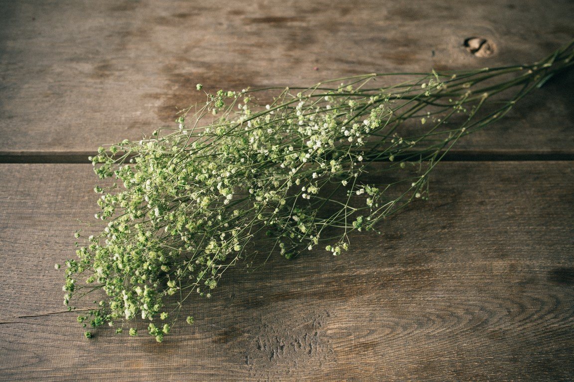 Trockenblume Schleierkraut Apfelgrün getrocknet im Bund ca. 50-60cm Gypsophila paniculata, NaDeco von NaDeco