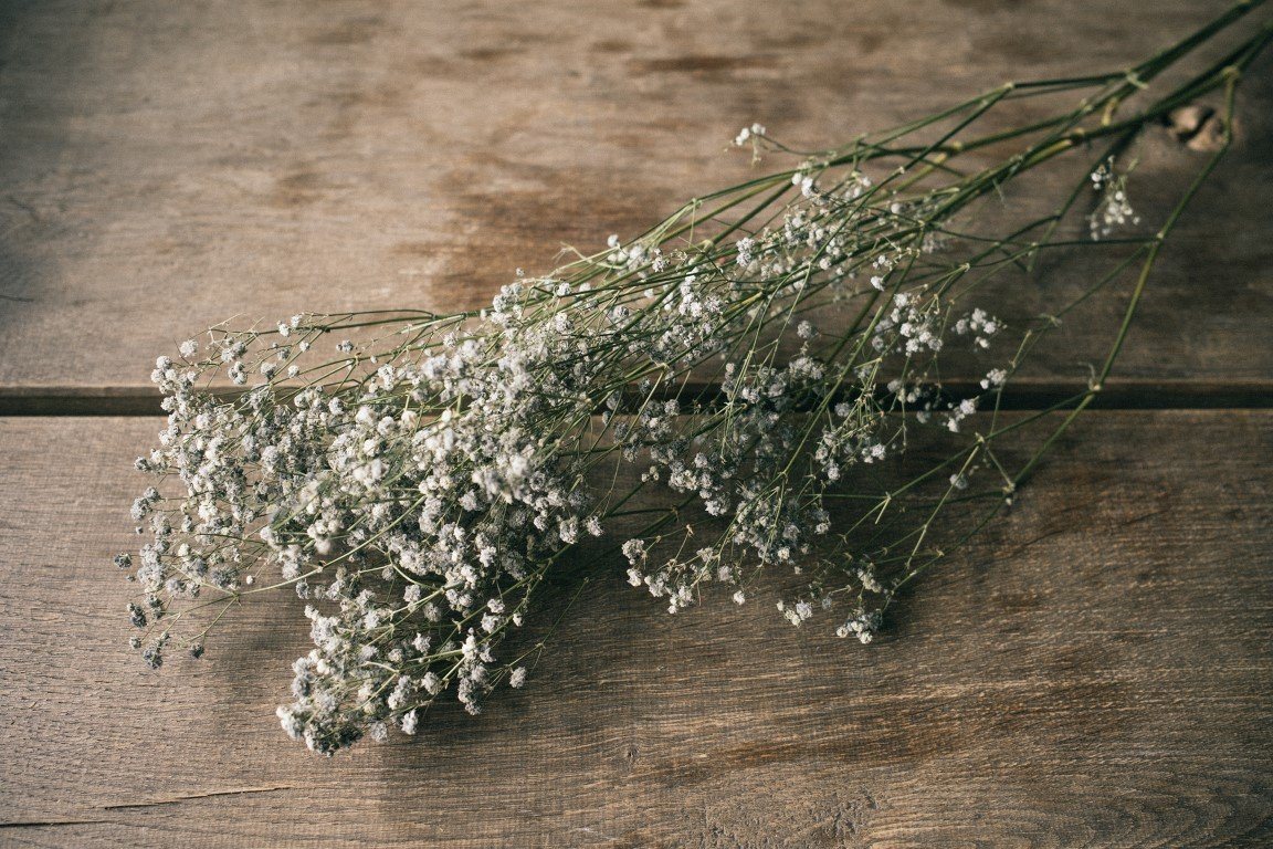 Trockenblume Schleierkraut Grau getrocknet im Bund ca. 50-60cm Gypsophila paniculata, NaDeco von NaDeco