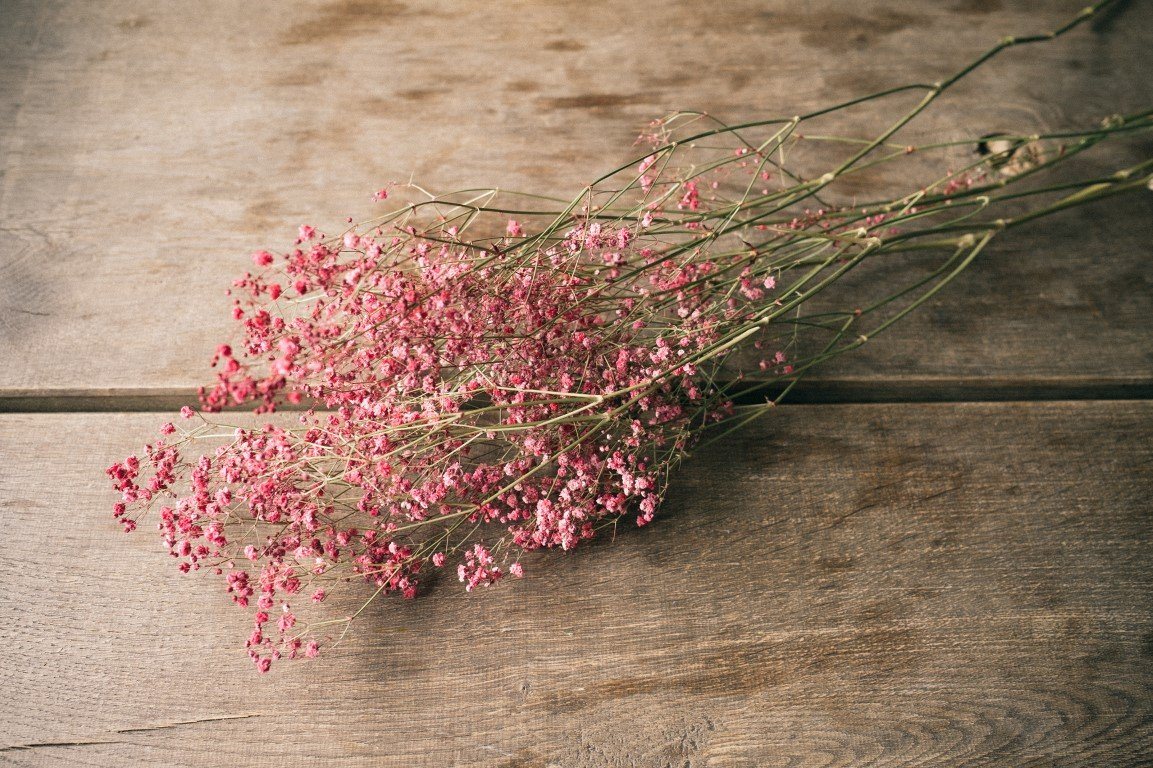 Trockenblume Schleierkraut Rot getrocknet im Bund ca. 50-60cm Gypsophila paniculata, NaDeco von NaDeco