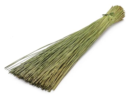 Vleireed 75cm 1kg in 7 Farben zur Auswahl Restio giganteus Vlei Reed Deko Gras Schilfrohre Deko Reed Deko Busch Deko Bündel Naturdeko Feine Dekozweige Elefantengras Afrika Deko, Farbe:Apfelgrün von NaDeco