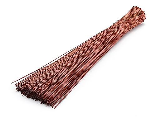 Vleireed 75cm 1kg in 7 Farben zur Auswahl Restio giganteus Vlei Reed Deko Gras Schilfrohre Deko Reed Deko Busch Deko Bündel Naturdeko Feine Dekozweige Elefantengras Afrika Deko, Farbe:Braun von NaDeco