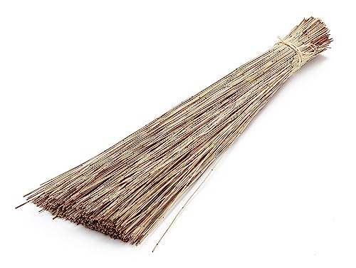 Vleireed 75cm 1kg in 7 Farben zur Auswahl Restio giganteus Vlei Reed Deko Gras Schilfrohre Deko Reed Deko Busch Deko Bündel Naturdeko Feine Dekozweige Elefantengras Afrika Deko, Farbe:Natur von NaDeco