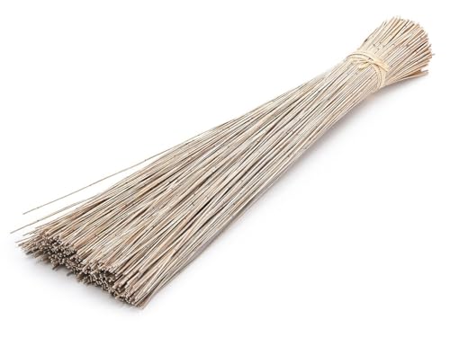 Vleireed 75cm 1kg in 7 Farben zur Auswahl Restio giganteus Vlei Reed Deko Gras Schilfrohre Deko Reed Deko Busch Deko Bündel Naturdeko Feine Dekozweige Elefantengras Afrika Deko, Farbe:Weiß von NaDeco