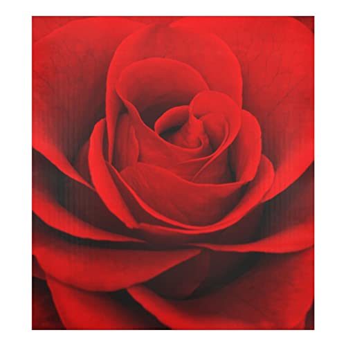 Naanle Geschirrspüler-Magnetabdeckung, rote Rose, Valentinstag, Geschirrspüler-Abdeckung, magnetisch, für Zuhause, Schrank, Aufkleber, Kühlschrank, dekorativ, 58,4 x 66 cm von Naanle