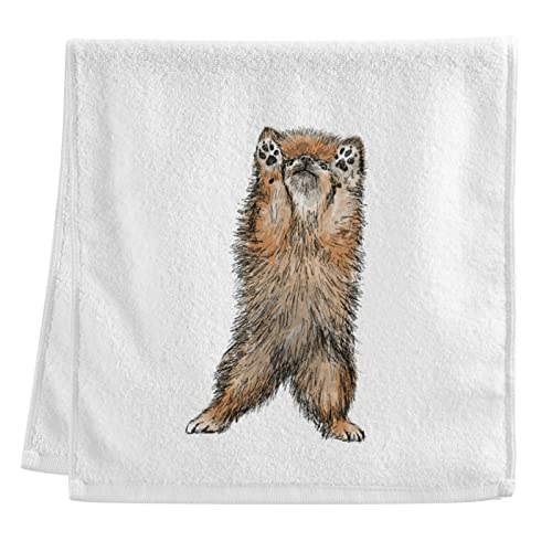 Naanle Pomeranian Hundehandtücher weiß Badetücher super weich saugfähig 100% gekämmte ringgesponnene Baumwolle Badhandtuch Küche Geschirrspültücher Hotel Spa Handtücher 40,6 x 76,2 cm von Naanle