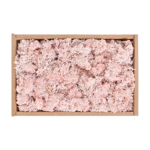 Moos für Deko und Bastelprojekte, Konservierte Naturmoose in 5 Farben,Moos zum Basteln für Moosbilder, Wald-Deko, Modellbau und Weihnachtsdeko,Moos zum Basteln-Langlebig (200g,Box) (Rosa) von Naapesi