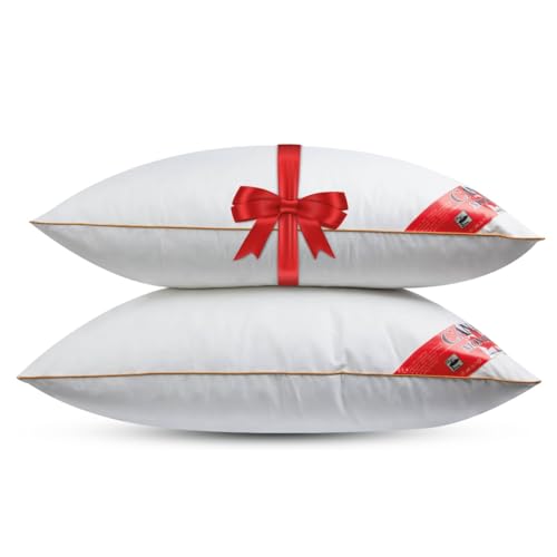 NachtrustOnline Fabiola Montreal Federkissen 60x70 cm - 2er Kissen Set - Kopfkissen aus neuen Federn Klasse 1-1700g. Allergiker geeignet (nomite) - Öko-Tex 100 Klasse 1 Zertifiziert - Downpass von NachtrustOnline