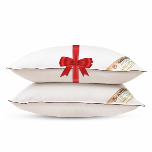NachtrustOnline NaturKapok Kapok Kopfkissen 60x70 cm - 2er Kissen Set - Kühlendes Kissen - 100% Kapok 1000 Gramm - Die Lösung gegen einen heißen Kopf von NachtrustOnline