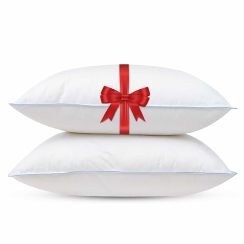 NachtrustOnline Spatex Basic kopfkissen 60x70 cm - 2er Kissen Set für Rücken- und Bauchschläfer, Seitenschläfer - unterstützende Kapazität NachtrustOnline Spatex Basic kopfkissen 60x70 cm - 2er Kissen Set für Rücken- und Bauchschläfer, Seitenschläfer - unterstützende Kapazität von NachtrustOnline