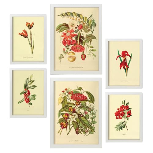 Nacnic 6er-Set Rote Blumen Poster. In Vintage -Drucke. Ästhetische dekorative Gemälde für Ihr Wohnzimmer, Schlafzimmer, Zuhause Größen A4 und A3 mit weißen Rahmen von Nacnic