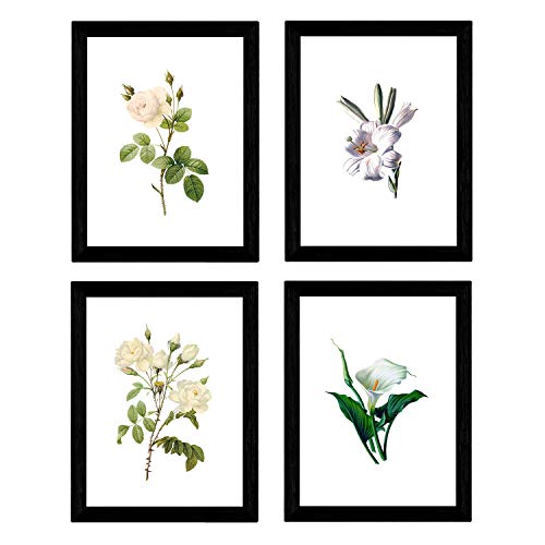 Nacnic Botanische Plakate 4-er Set. Weiß Hintergrund helle Blumen Poster Set. Verschiedene Hintergründe zur Auswahl. Größe A4, ohne Rahmen. Nacnic Botanische Plakate 4-er Set. Weiß Hintergrund helle Blumen Poster Set. Verschiedene Hintergründe zur Auswahl. Größe A4, ohne Rahmen. von Nacnic
