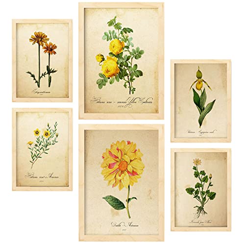 Nacnic Gelbe Blumen Postern. Vollfarbige Natur- und Botanikdrucke mit Blumenmotiven im Vintage Papier Stil. Innenarchitektur und Dekoration. A4 & A3 Holzrahmen. Nacnic Gelbe Blumen Postern. Vollfarbige Natur- und Botanikdrucke mit Blumenmotiven im Vintage Papier Stil. Innenarchitektur und Dekoration. A4 & A3 Holzrahmen. von Nacnic